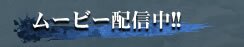 ムービー配信中！